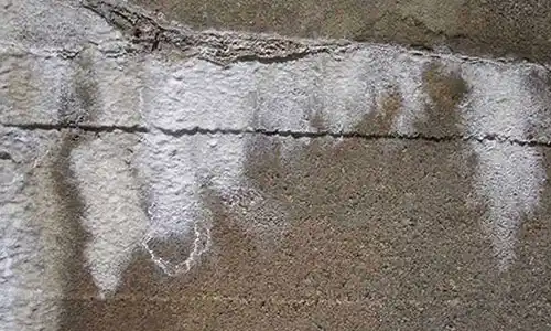شوره زدن بتن